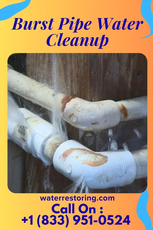 Burst Pipe Water Cleanup in Franklinton, NC