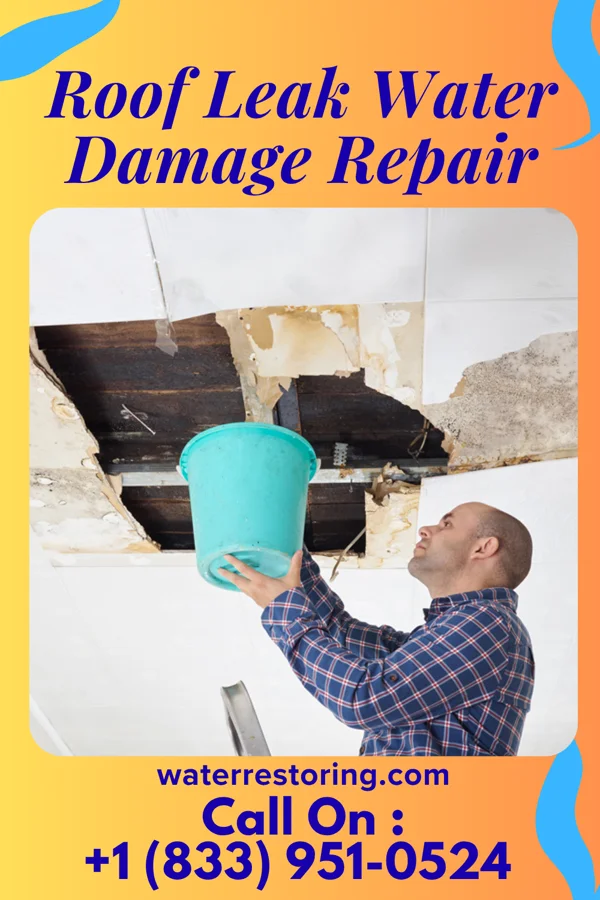 Roof Leak Water Damage Repair in Franklinton, NC